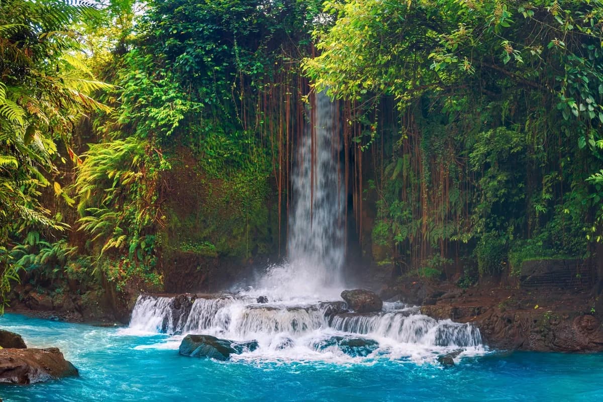 Bali Waterfall