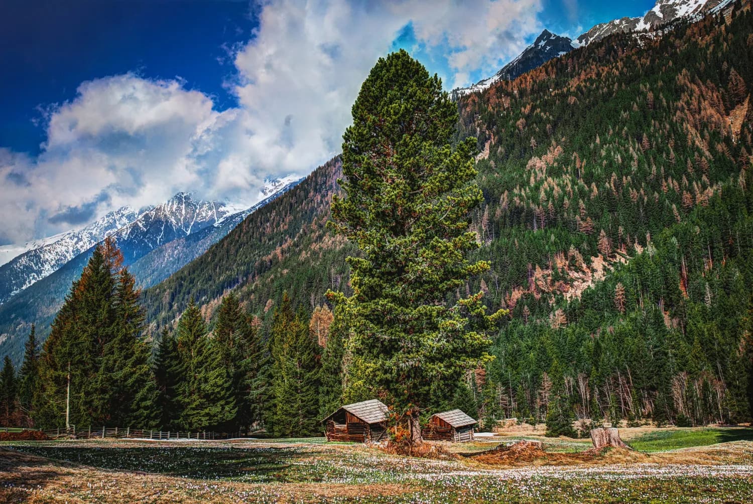 Best of Kashmir