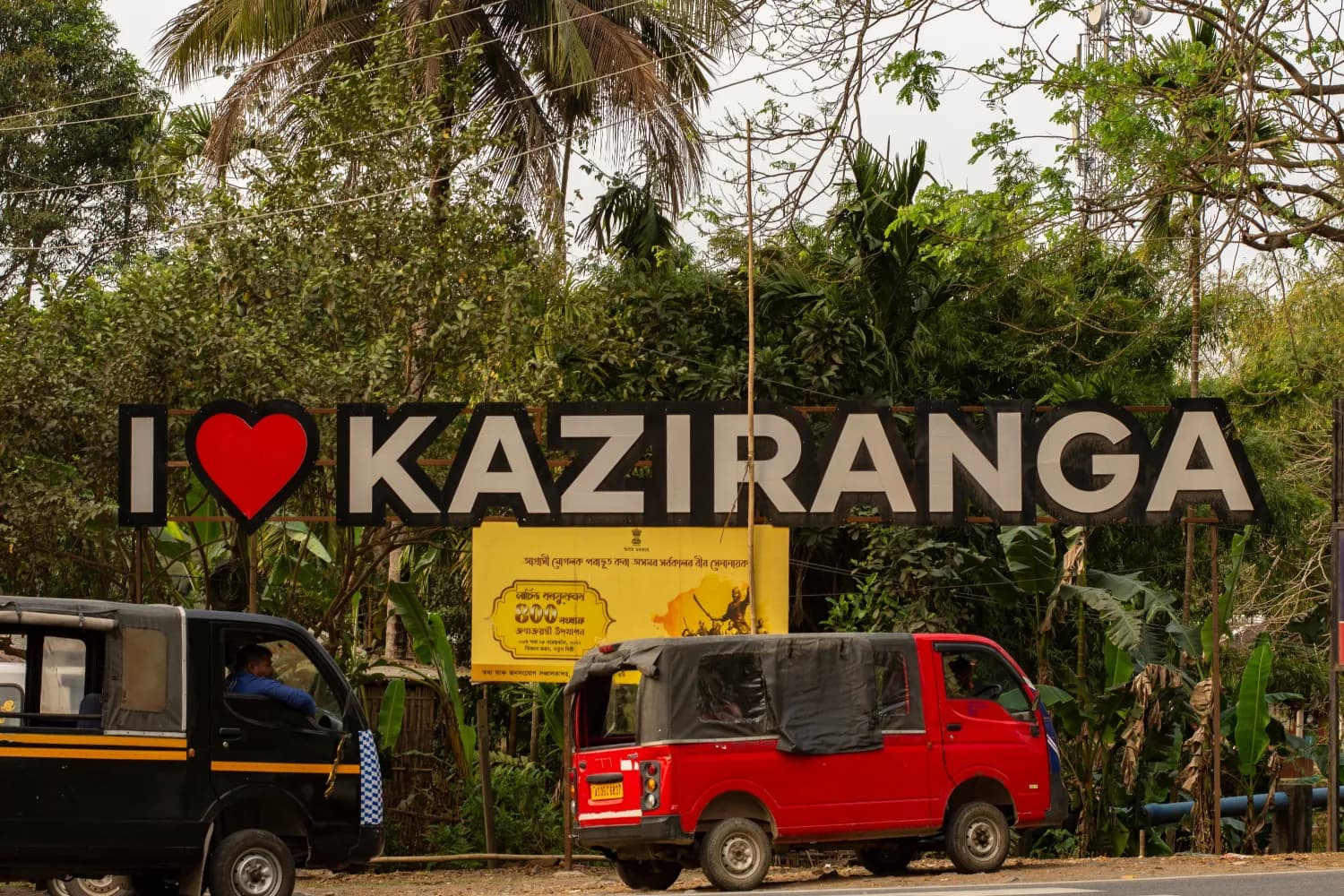 Kaziranga 