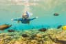 Snorkelling in Andaman