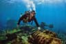 Scuba Diving in the Andaman