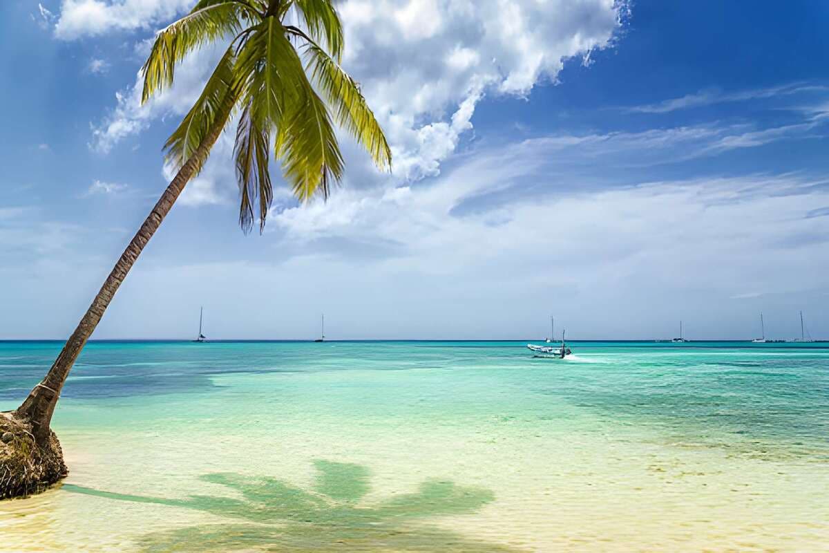 Coral Island