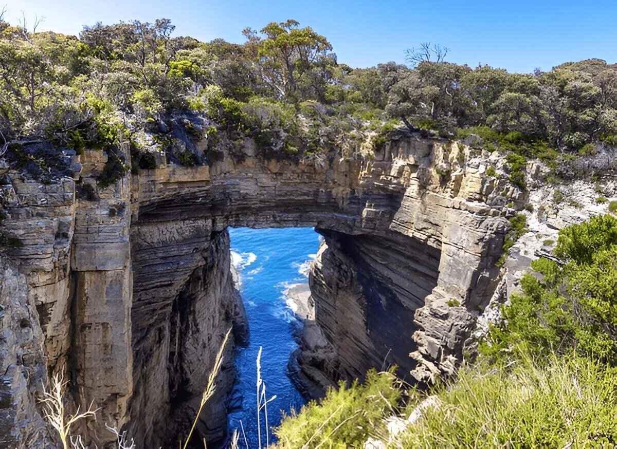 Tasman Arch