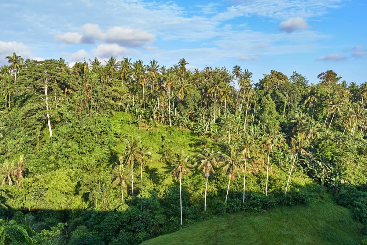 Ubud