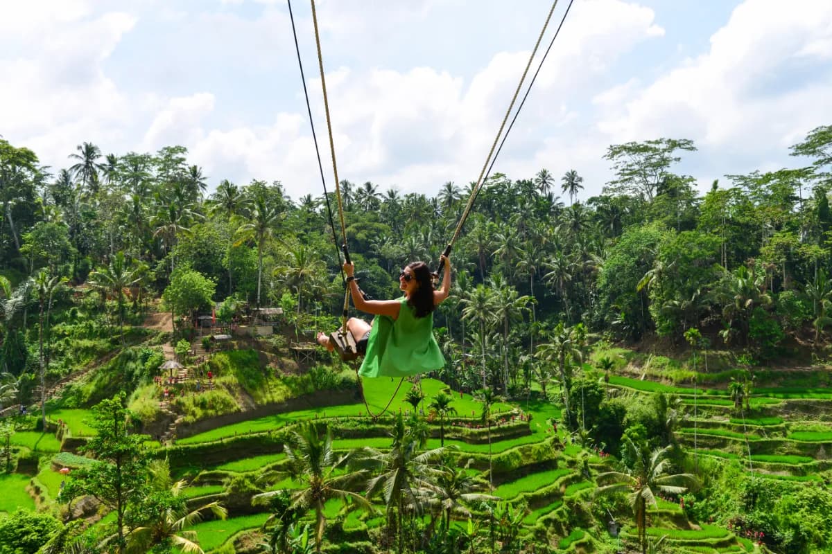Bali swinging over Terrace rice fields in the morning, Ubud, Bali, Indonesia