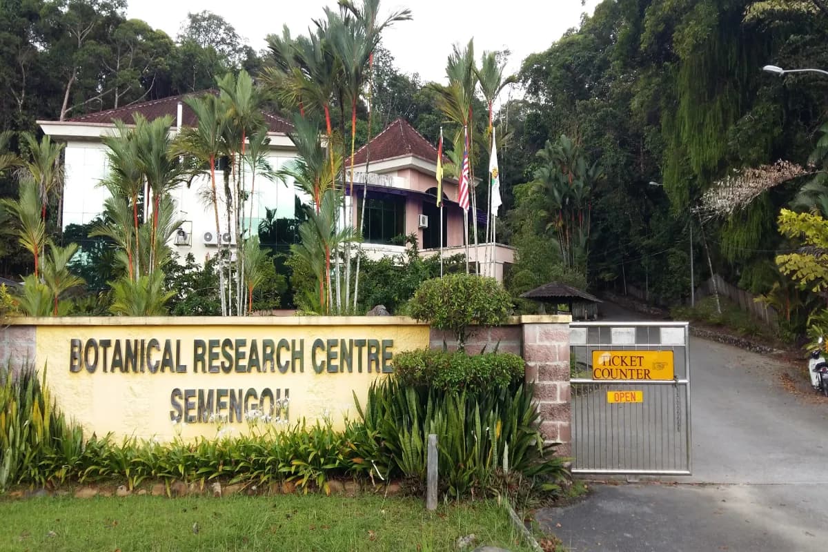 Semenggoh Nature Reserve