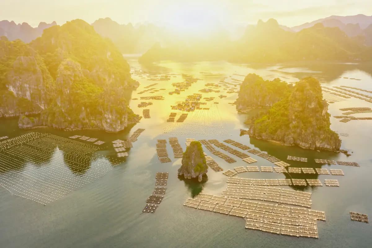 Bai Tu Long Bay, Vietnam