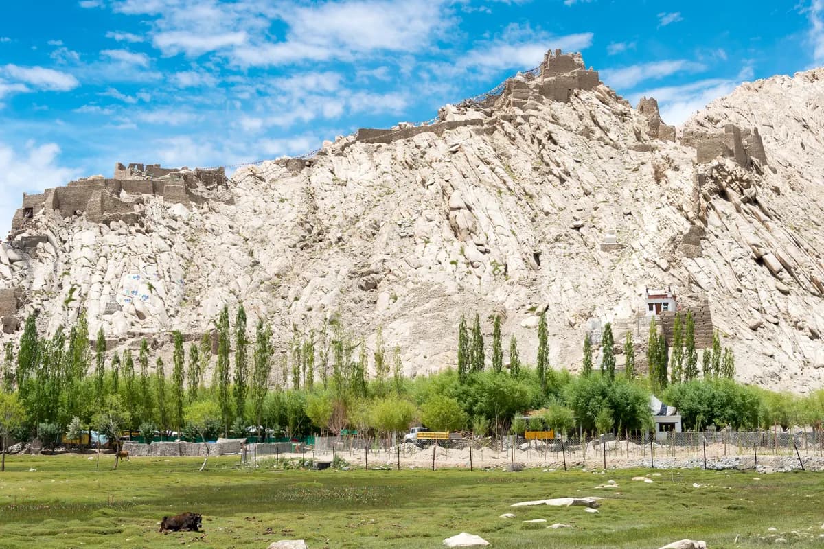 Traditional architecture of Shey Palace in Ladakh