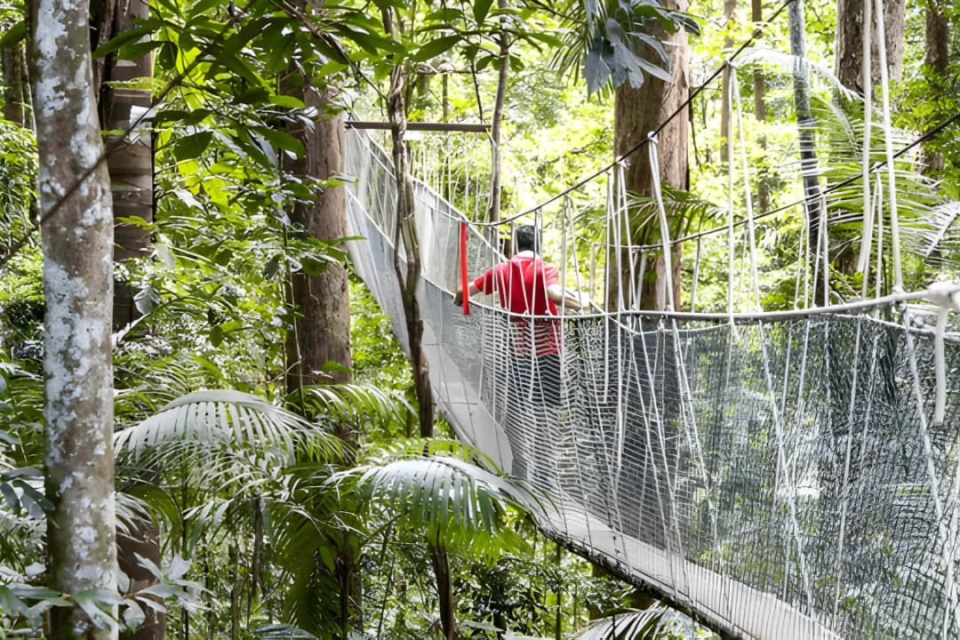 World’s Longest Canopy Walk