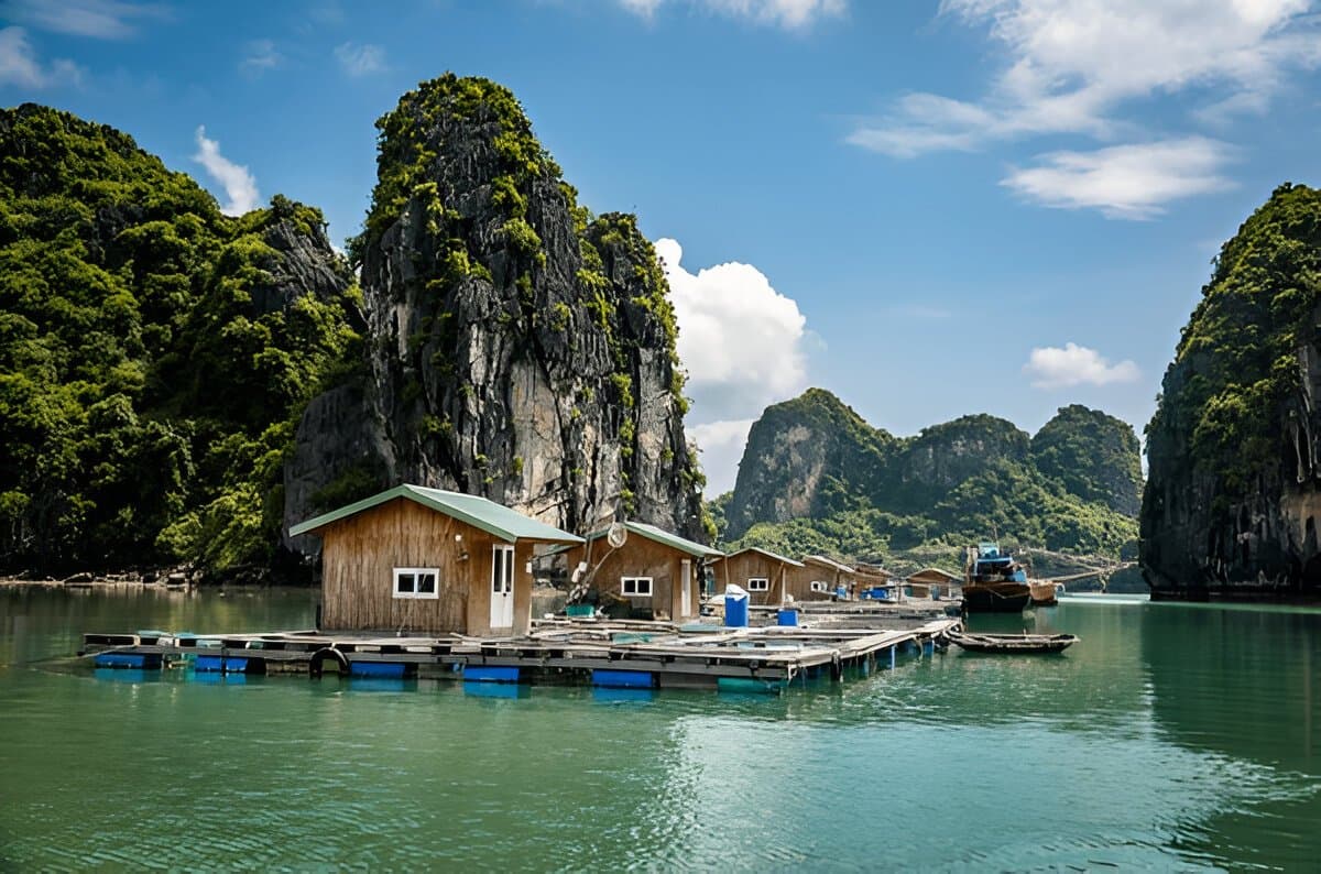 Bai Tu Long Bay