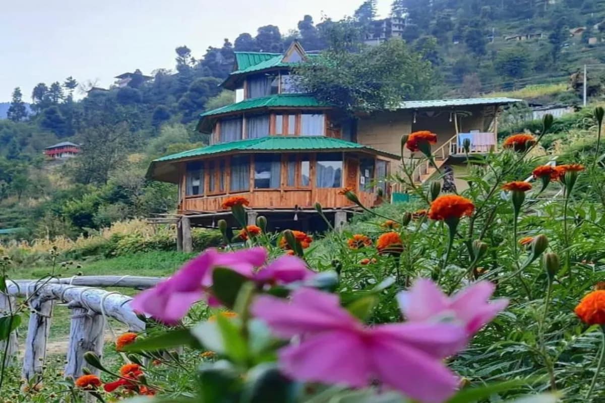 The Hidden Burrow by Whoopers