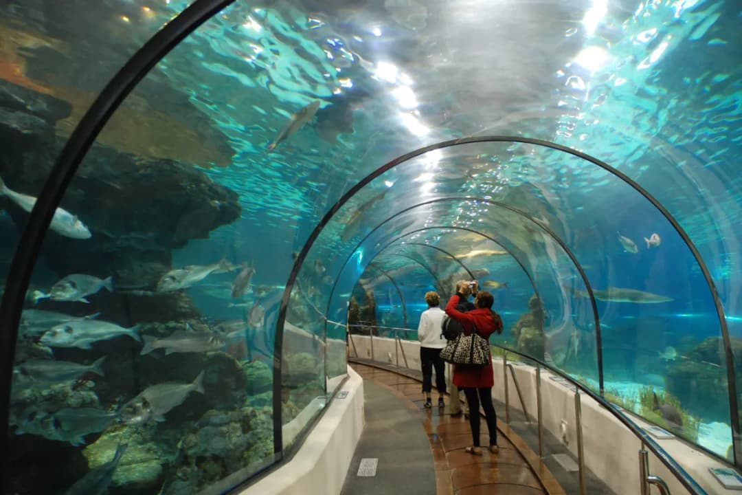 SEA LIFE Underwater Tunnel