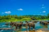 Kerala Tea Hills Voyage