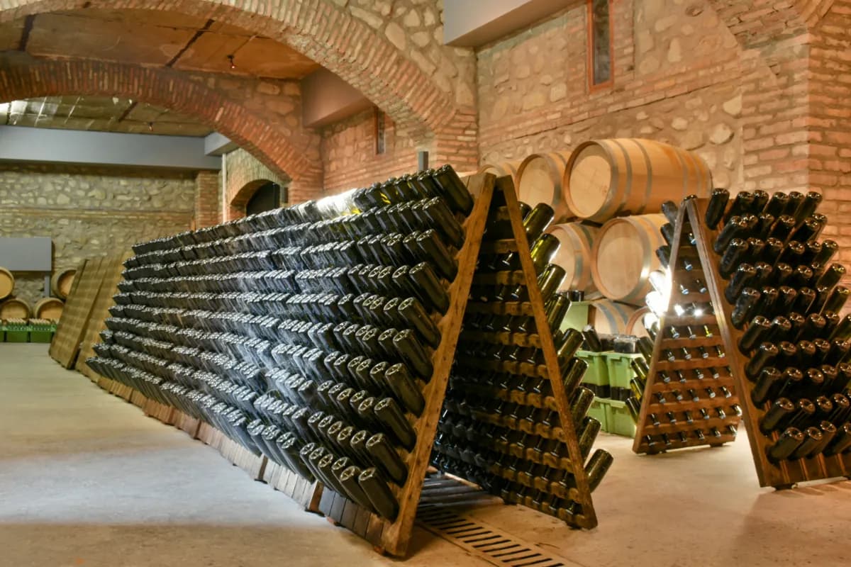 Wine Tasting in North Georgia