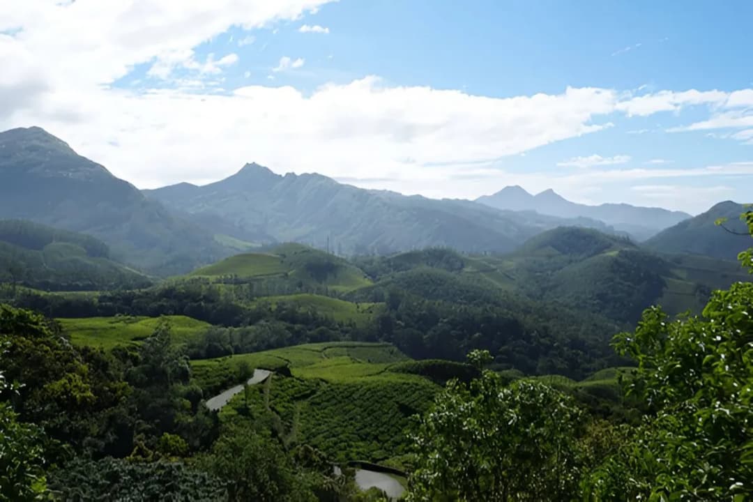Eravikulam National Park