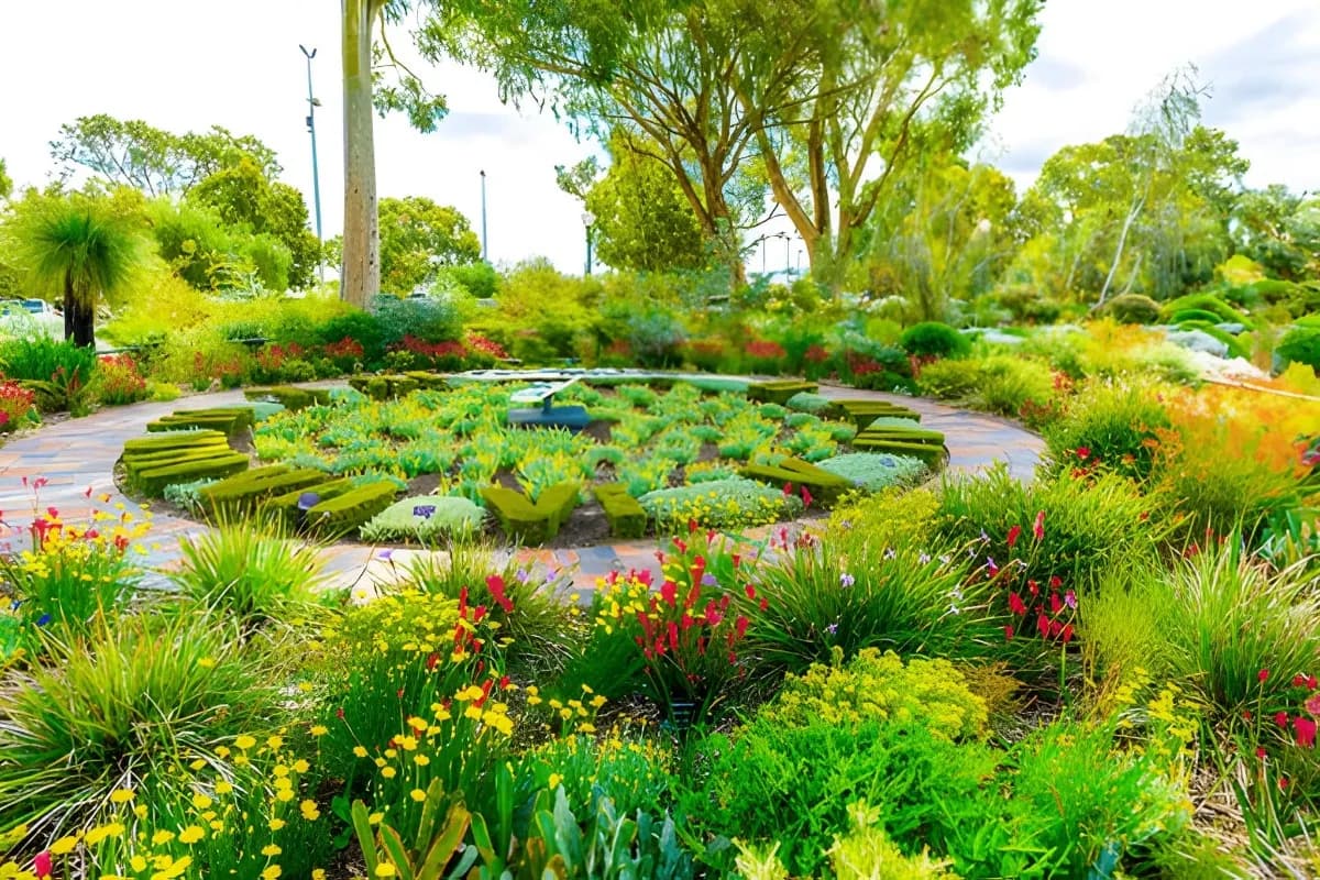 Kings Park and Botanic Garden