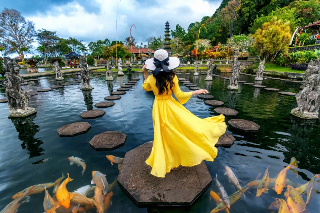 Koi Ponds and Stepping Stones