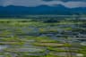 Loktak Lake