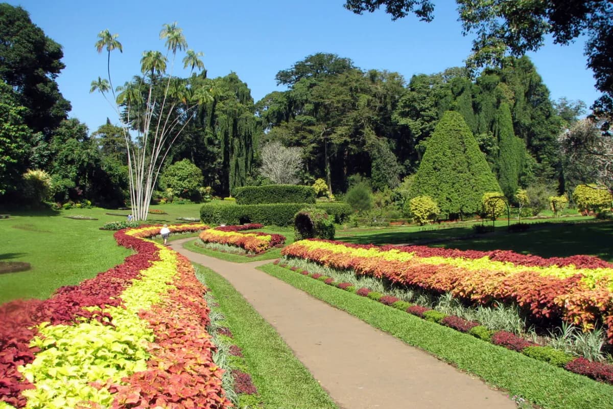 Royal Botanic Gardens, Peradeniya