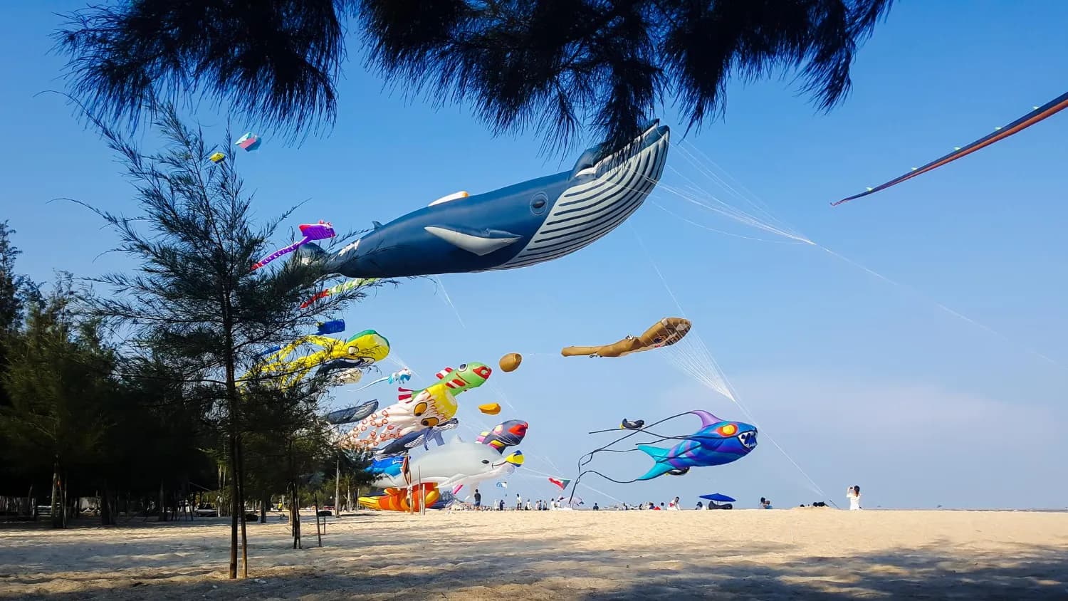 Kite Beach Dubai
