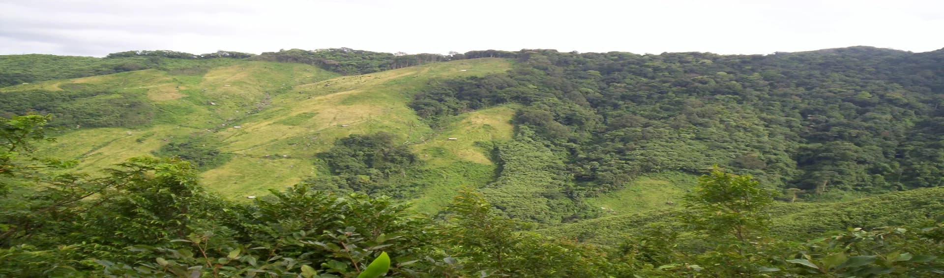 Into the Wild: 10 Stunning National Parks of North East India