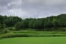 Paddy fields near Tyrshi Falls, near Jowai