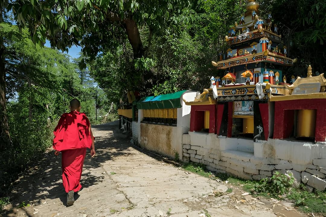 Tsuglagkhang Complex