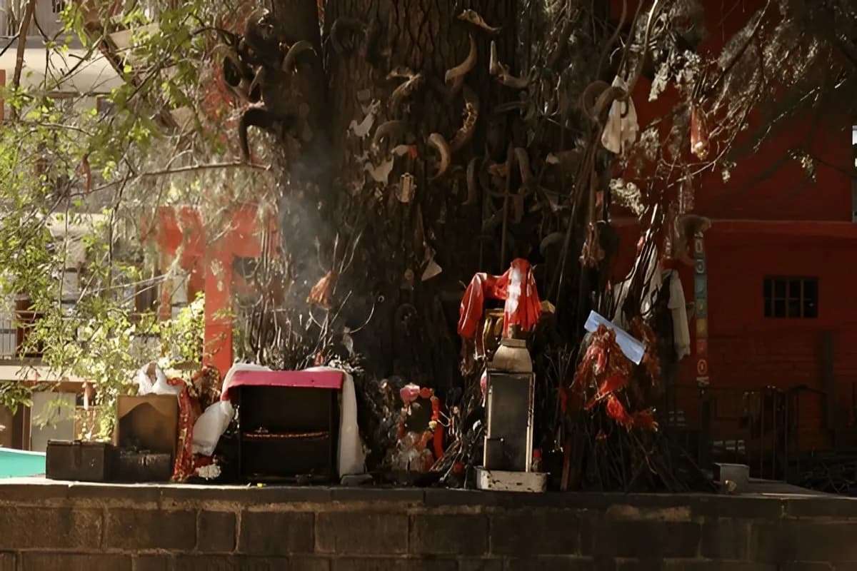 Ghatotkach Tree Temple