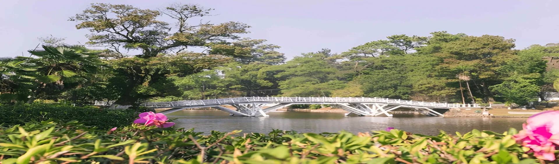 Meghalaya Honeymoon Guide — Offbeat Spots, Stays & Budget for Couples