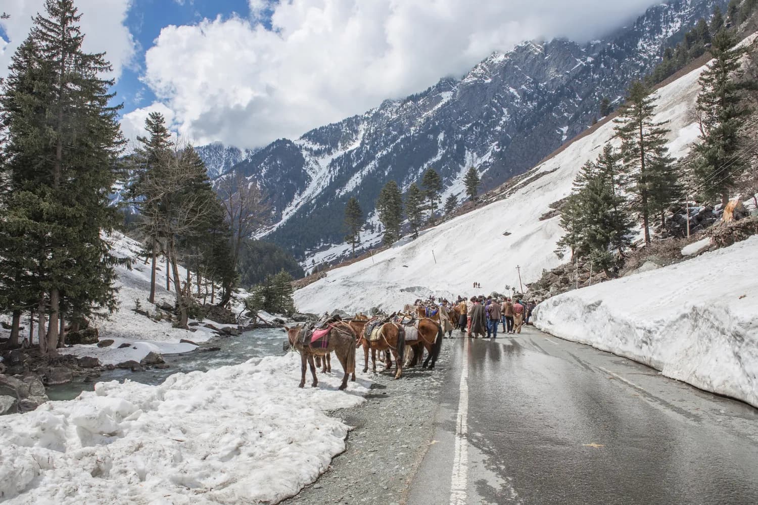 Best of Kashmir