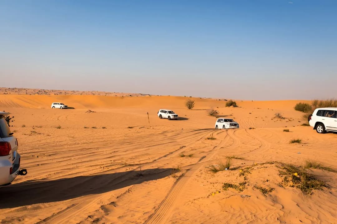 Arabian Desert Safari