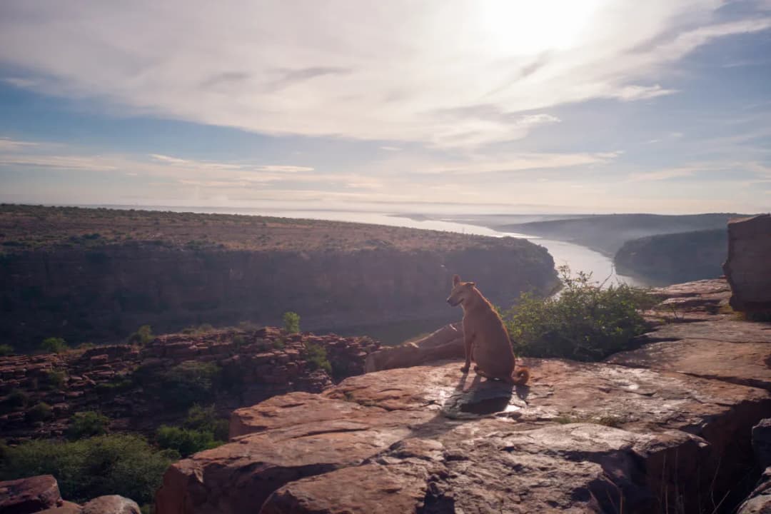 Gandikota Gorge