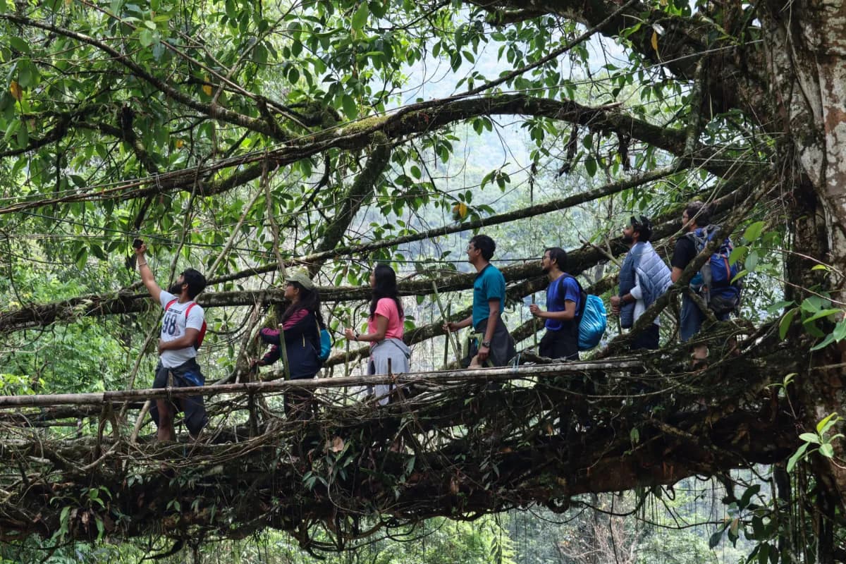 People walking in living root bridge