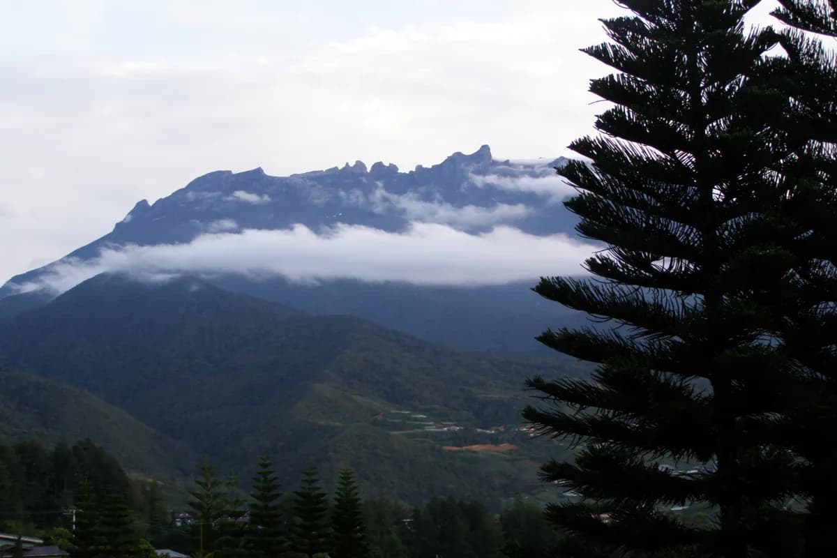 kinabalu national park