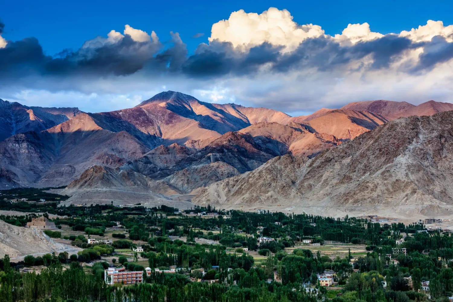 The Adventure of Ladakh