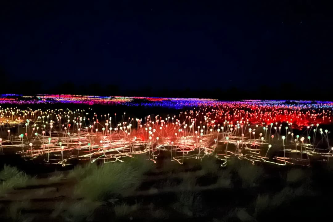 Interactive Experience