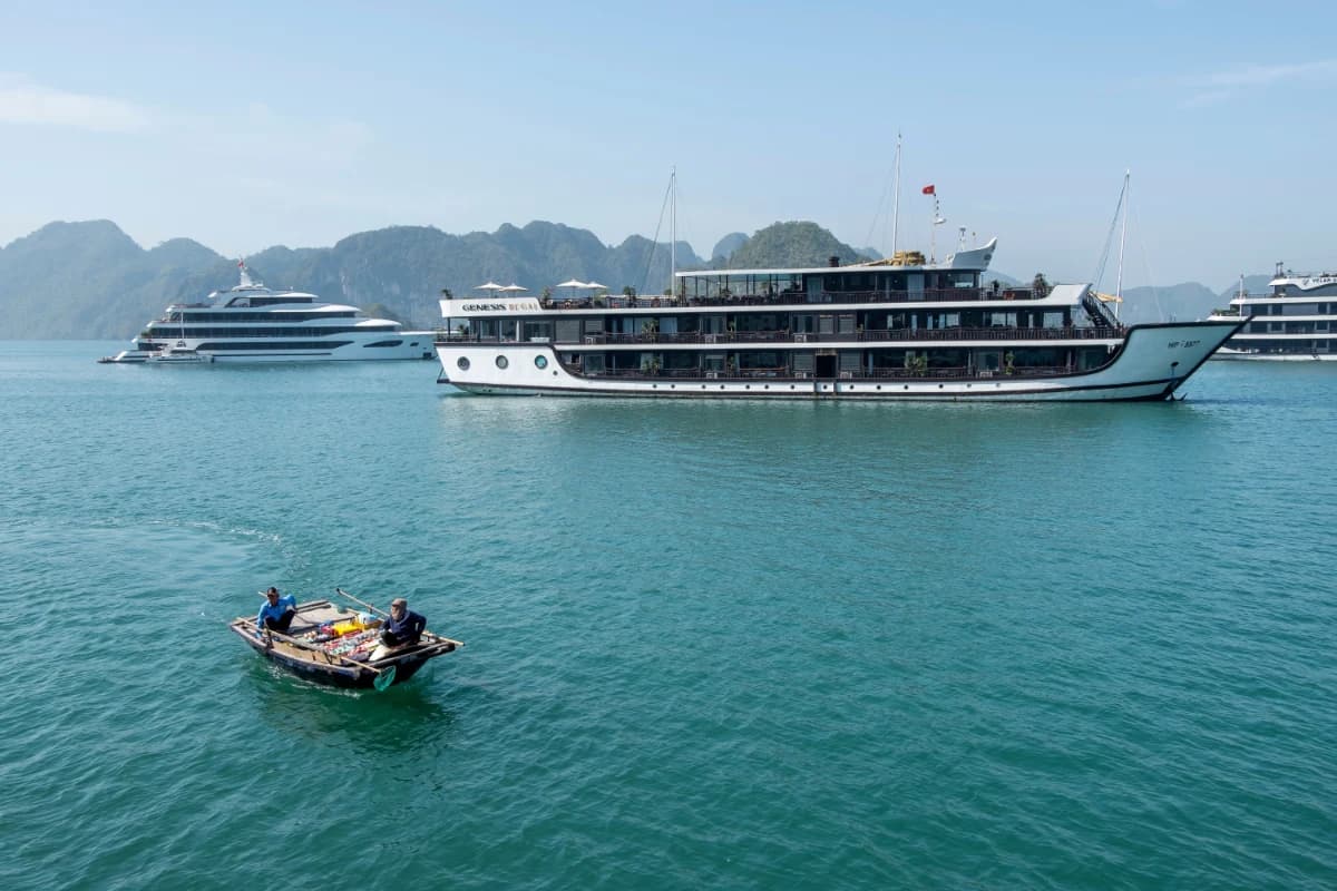 Cruises are in Halong Bay