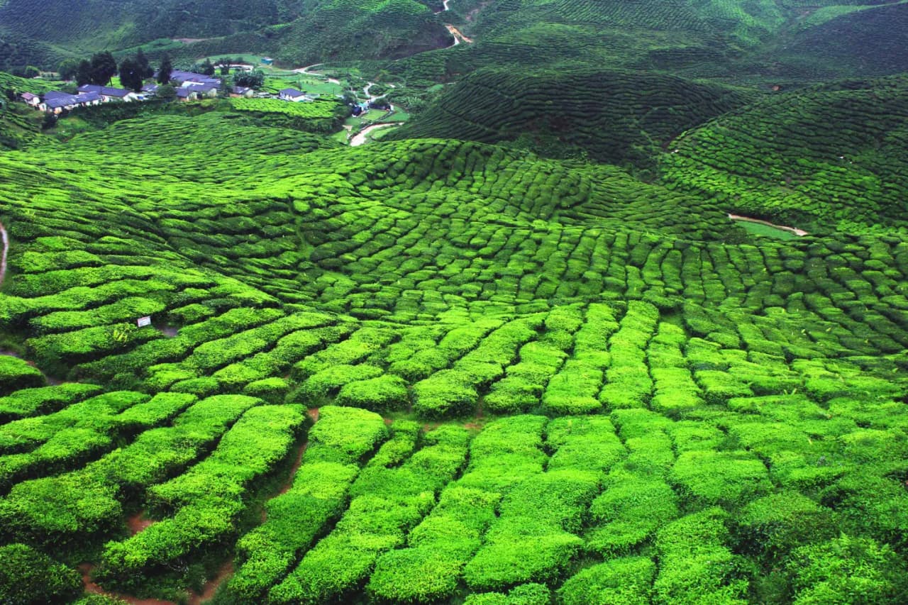 Marvels of Kerala with Alappuzha Beach