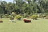 Person watering plants at Lum Nehru Park