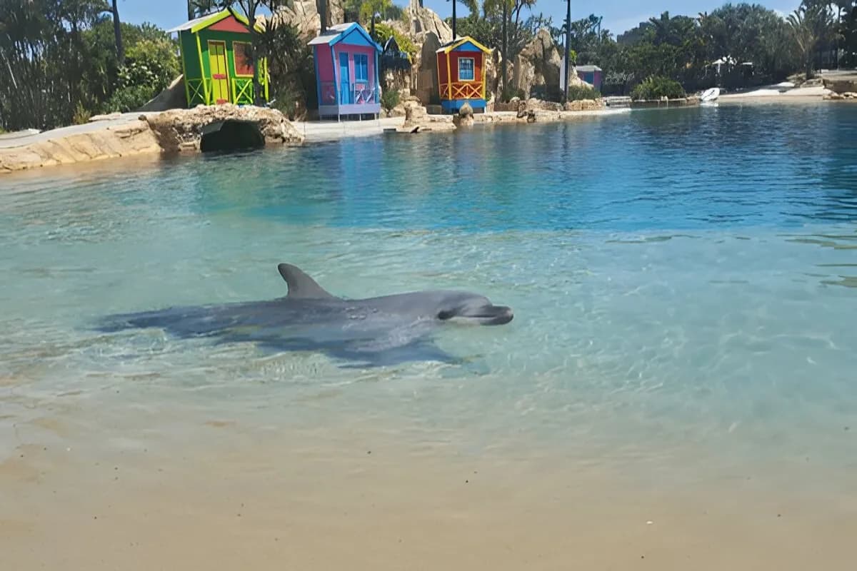Marine Mammal Habitat