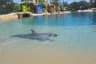 Marine Mammal Habitat