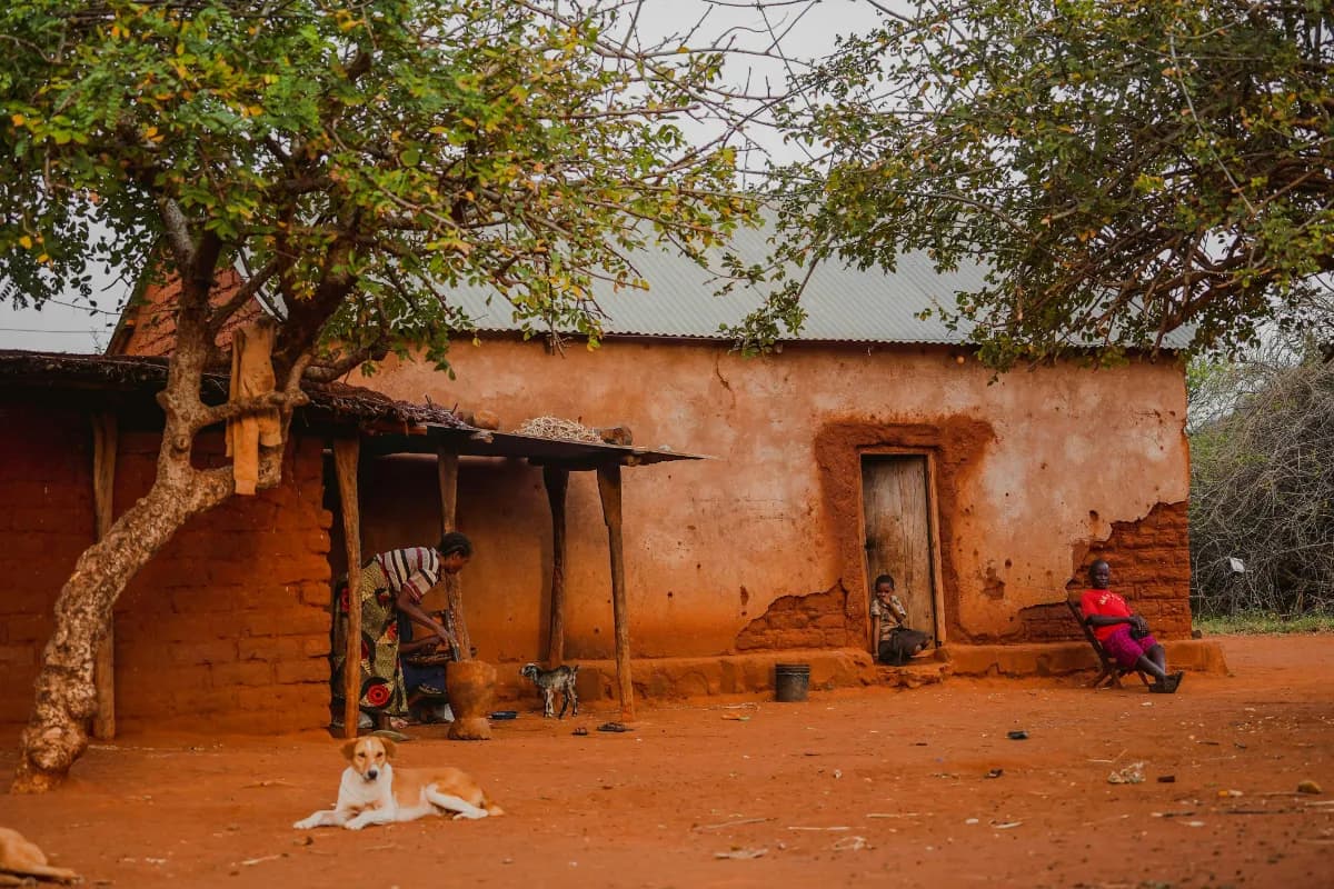 Peaceful Stay in Mud Houses in Tirthan Valley