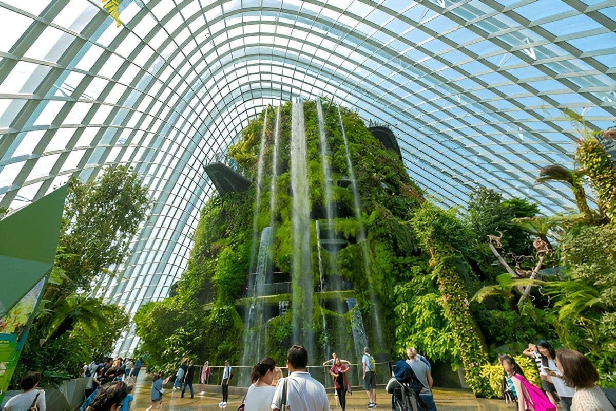 Singapore Botanical Tour