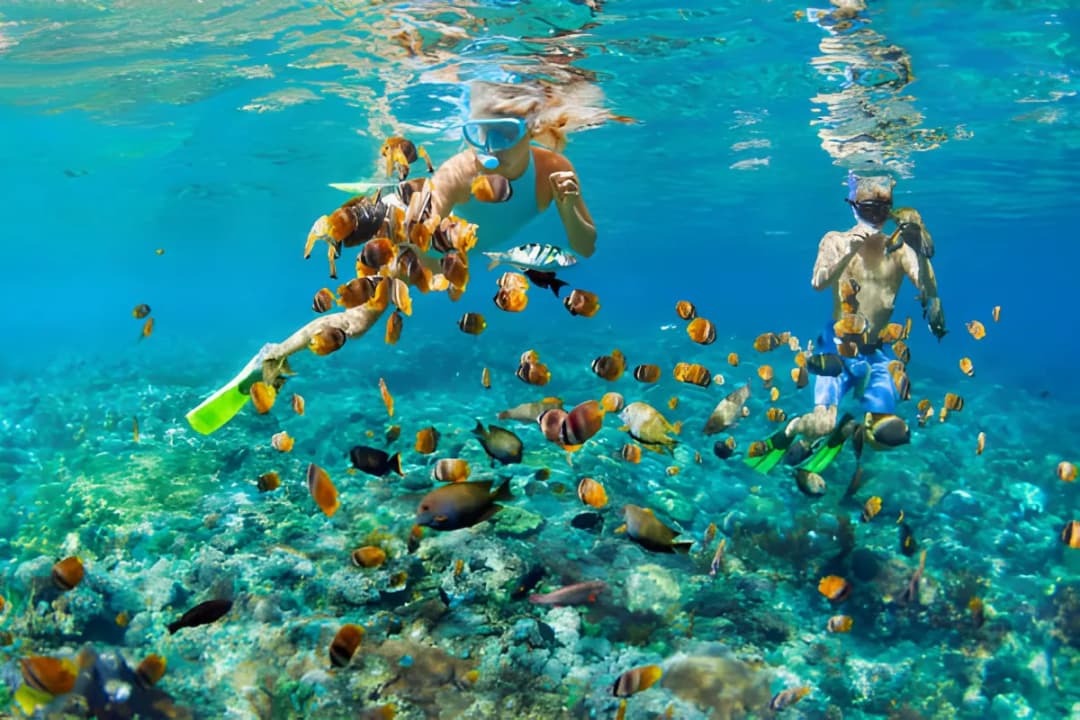 Snorkeling & Water Sports