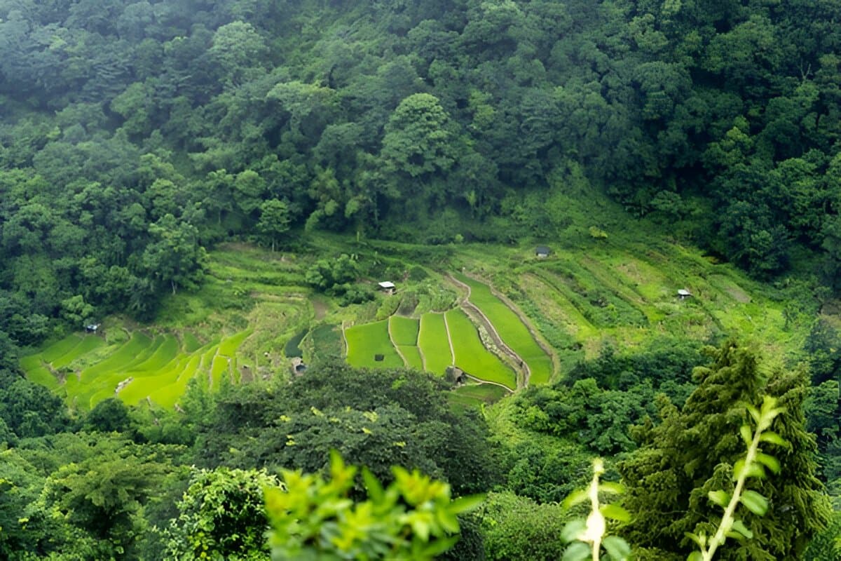 Khonoma Green Village