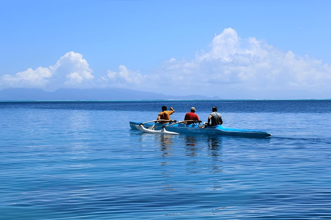 Guided Kayak Tours
