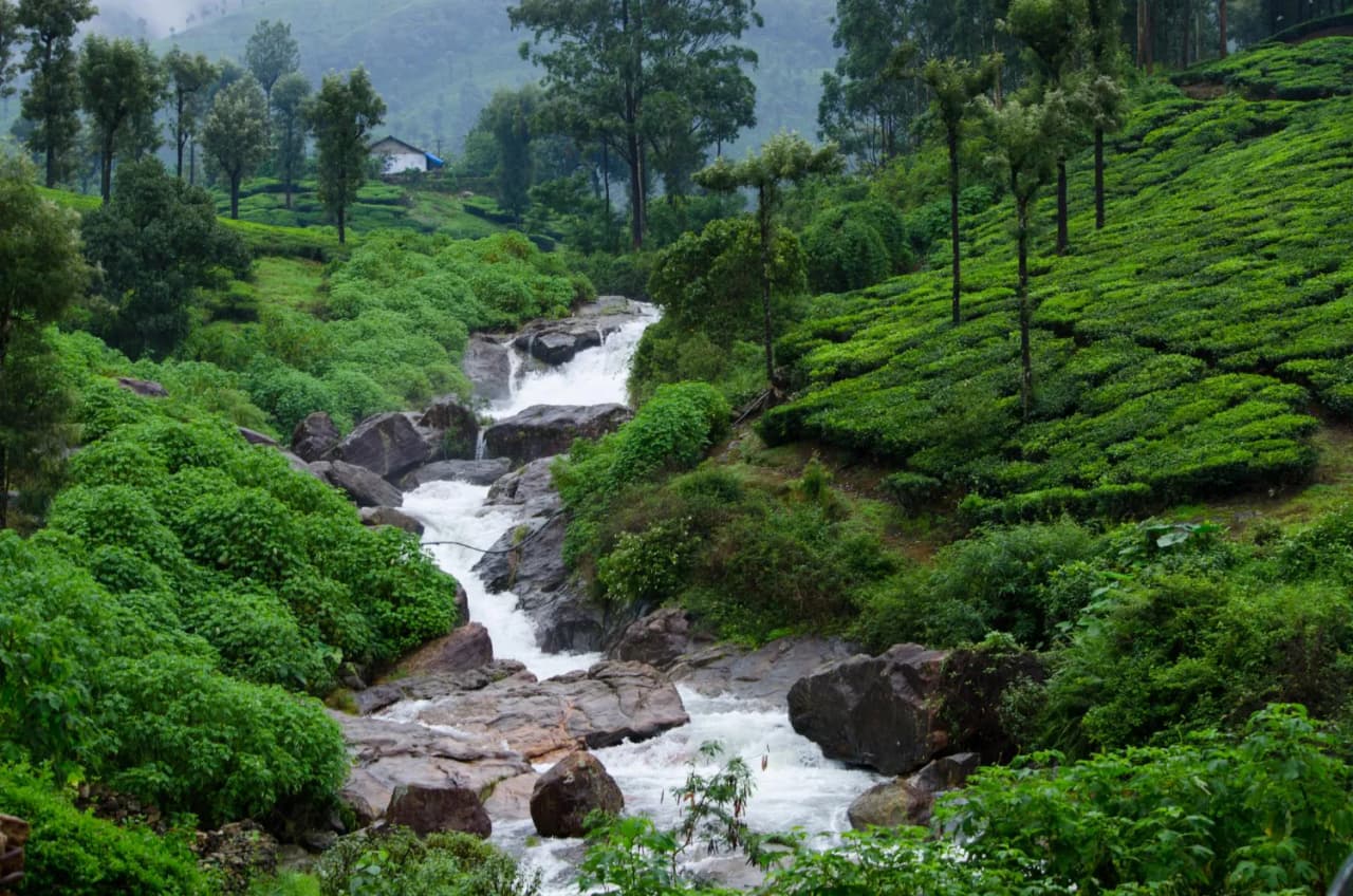 Explore Hills of Kerala Including Munnar & Thekkady