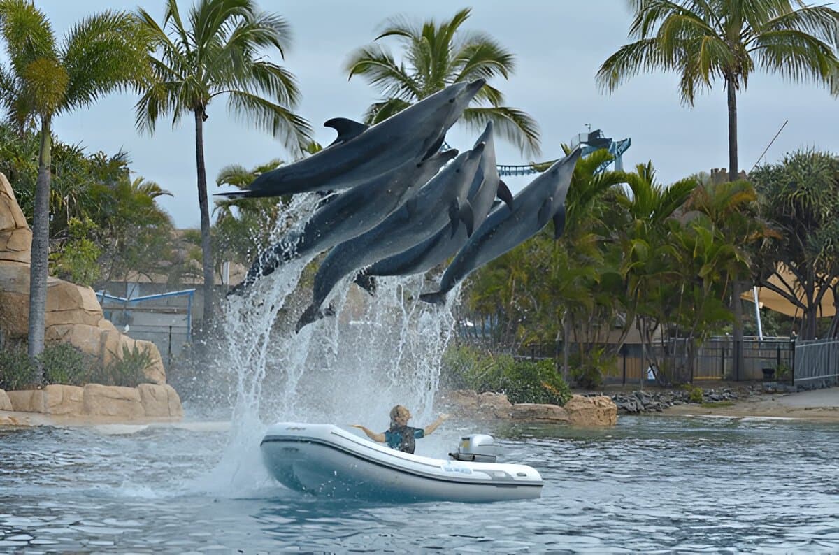 Sea World Admission