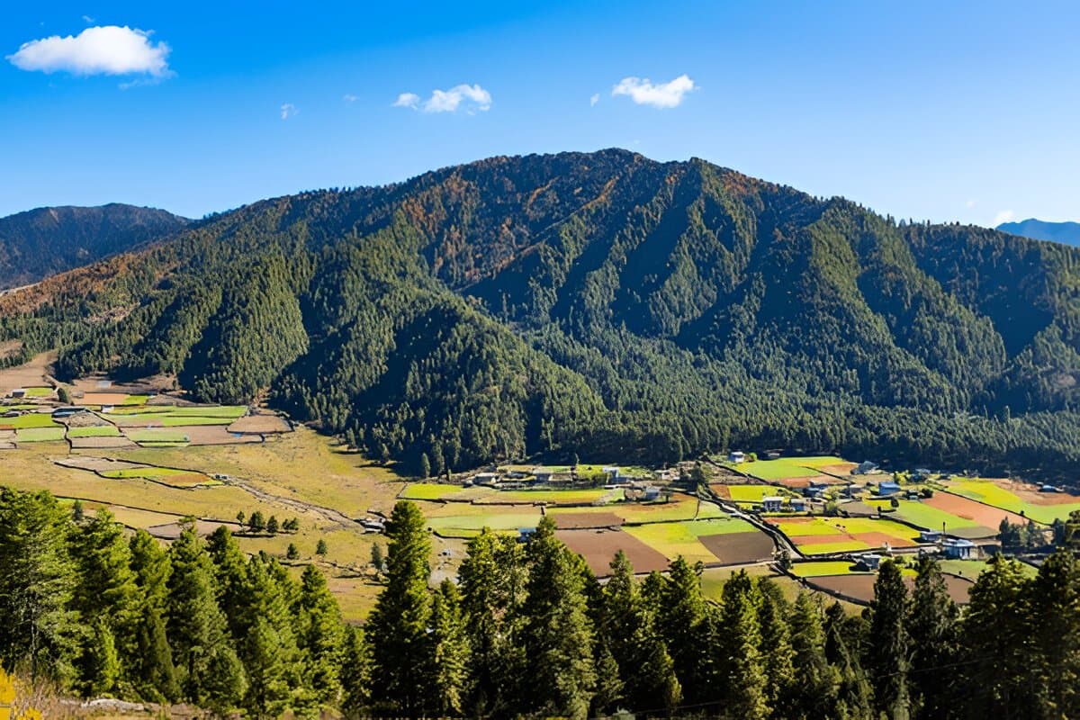 Phobjikha Valley