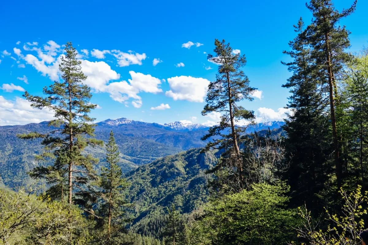 Borjomi & Kharagauli National Park
